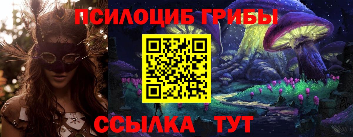 Псилоцибиновые грибы Psilocybine cubensis Петрозаводск